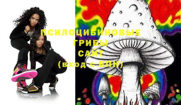 PSILOCYBIN Дмитриев