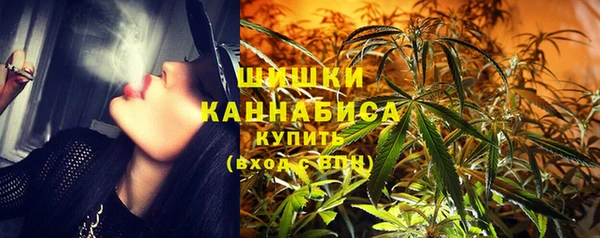 PSILOCYBIN Дмитриев