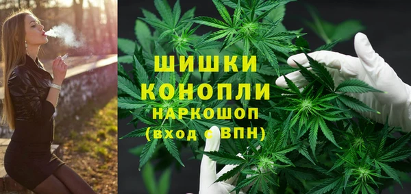 PSILOCYBIN Дмитриев