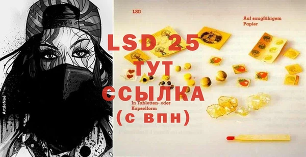 PSILOCYBIN Дмитриев