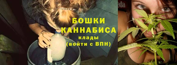 apvp Дмитровск